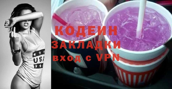 гашик Няндома