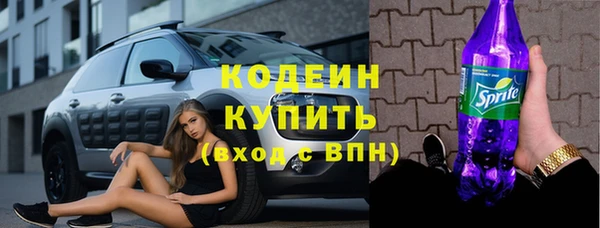 гашик Няндома