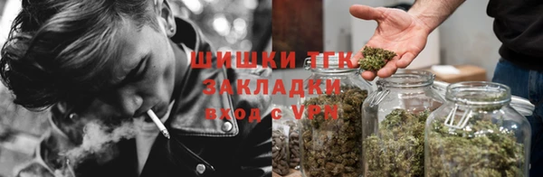 прущие грибы Абаза