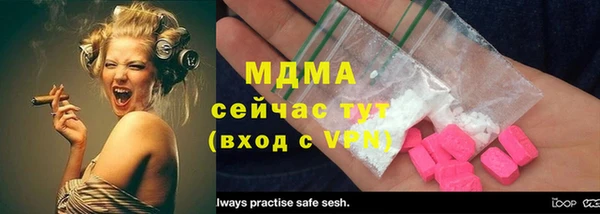 прущие грибы Абаза