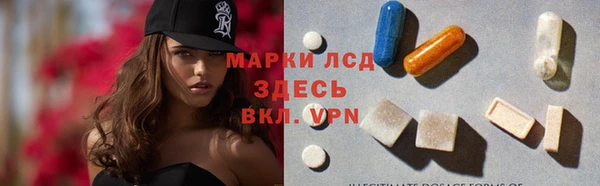 прущие грибы Абаза