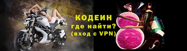 гашик Няндома