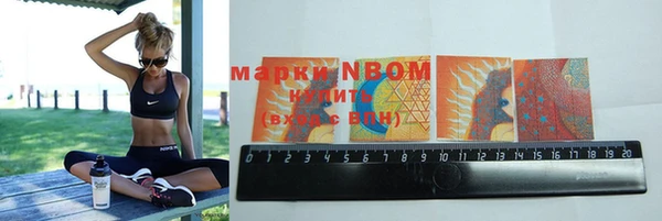 прущие грибы Абаза