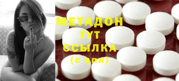 прущие грибы Абаза