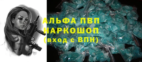 прущие грибы Абаза