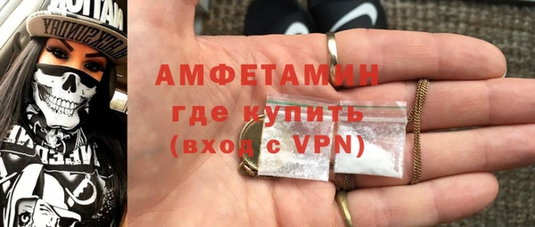 гашик Няндома