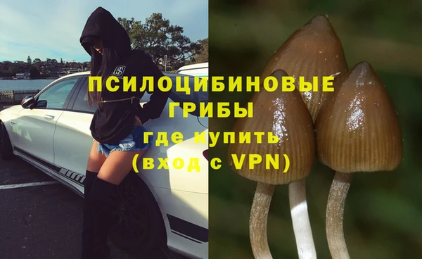 гидра Нягань